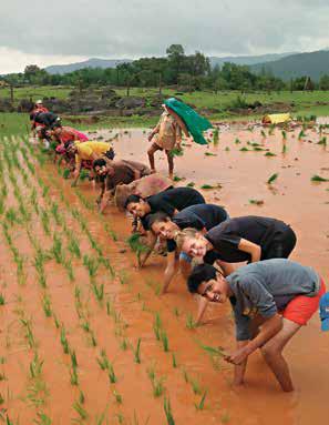 Maharashtra Charts Dual Path: Agri-Tourism and Adventure Tourism to Drive Growth